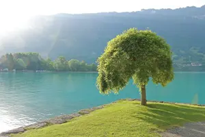 Tour image of (KTL361) - Interlaken day trip by bus from Lausanne