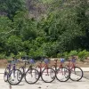 Image of Mountain Bike Tours