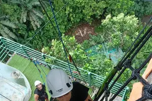 Tour image of Vertical Multiadventure Park - Giant Trees