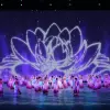 Image of Circus Shows