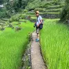Image of Hiking Tours