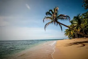 Tour image of Wildlife Rescue Center and Punta Uva Beach & Jungle Hike