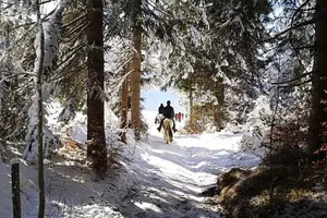 Tour image of Horse Riding in Bled