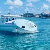 Image of Glass Bottom Boat Tours