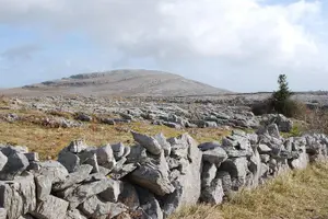 Tour image of Walking in the Burren with perfumery visit. Clare. Guided 3 hours