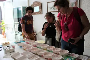 Tour image of Pafos - Archaeology & Beauty tour from Limassol