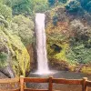 Image of Plantation Tours