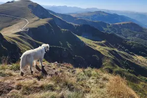 Tour image of Jeep tour in National park Biogradska gora