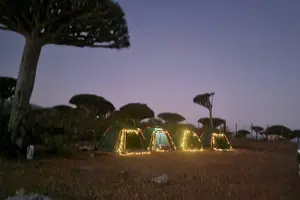Tour image of Explore Socotra Island |8 Days | PrivateTour(Oct 2024 – May 2025)