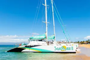 Tour image of Whale Watching Cruise with Open Bar from Ka'anapali Beach