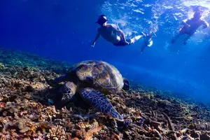 Tour image of 5 Islands Full-Day Tour Around Koh Tao and Koh Nangyuan