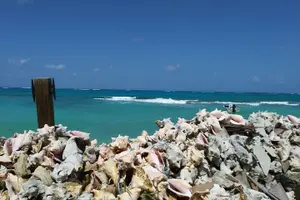 Tour image of Nassau Shore Excursion: Sightseeing and Snorkeling Tour