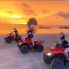 Image of Safaris