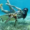 Image of Freediving