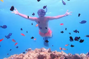 Tour image of Ishigaki Island Snorkeling Tour - Let's swim with corals and mackerel!!~