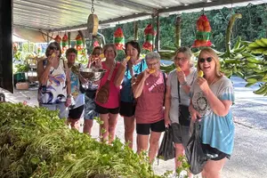 Tour image of Tropical Rainforest Luxury Experiences