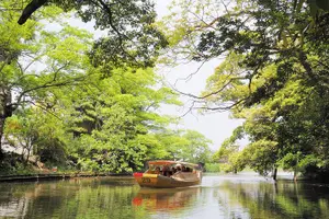 Image of Japan