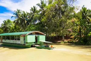 Tour image of Bohol Country Side Tour - Private w/ Lunch
