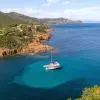Image of Catamaran Cruises