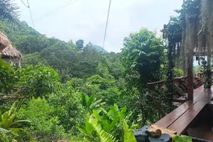 Tour image of 6 Hrs Off Road 4x4 Adventure of Hidden Gems In Koh Samui Hills 1 - 4 persons