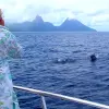 Image of Nature and Wildlife Tours