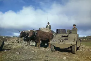Tour image of Half-Day Lajes Air Base Historic Sightseeing Tour