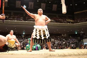 Tour image of Tokyo Grand Sumo Tournament Viewing Tour with Tickets
