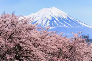Tour image of Full Day Private Tour to Mount Fuji And Lake Kawaguchi