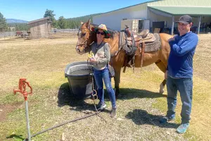 Tour image of Horseback Riding Adventure from Reno