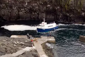 Tour image of Mykines Private Hike and Tour Adventure