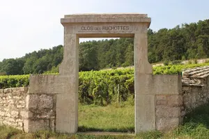 Tour image of "Wine tasting tours in Burgundy"