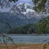 Image of Pack Animal Tours