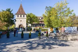 Tour image of Rhine Falls and Stein am Rhein Half-Day Tour from Zurich