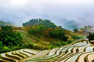 Tour image of Trekking Through Rice Terraced Fields - 1Day