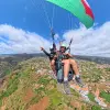 Image of In the Air