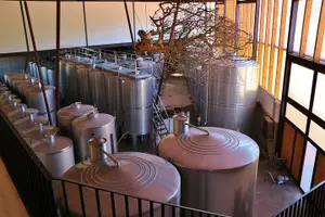 Tour image of Private Wine Tasting in the Setúbal Wine Region, from Lisbon