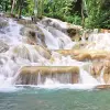 Image of Swimming