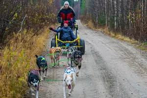 Tour image of Rovaniemi Autumn Husky Safari & BBQ – 6‑10 km Self‑Drive