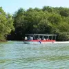 Image of Sightseeing Cruises