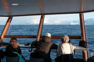 Tour image of Half Day Arctic Fjord Cruise from Tromso
