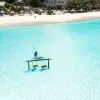 Image of Swimming