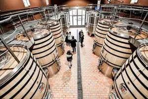 Tour image of From Saint-Emilion : Half Day Electric bike Wine Tour