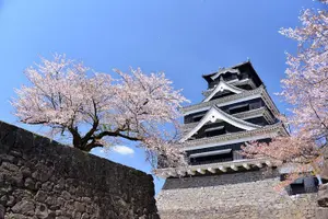 Tour image of Kumamoto Castle Walking Tour with Local Guide