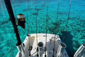 Tour image of Luxury Private Fishing Charters - FULL DAY CHARTER