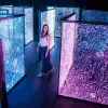 Image of Museums