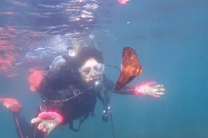 Tour image of Let's enjoy Scuba diving in Izu Peninsula for certificate Diver