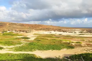 Tour image of Sunrise Hike with Private Guide to Aruba's Natural Pool (Conchi)