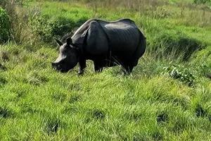 Tour image of 3-Day Chitwan National Park Jungle Safari Tour Package with Pick Up