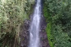 Tour image of Dark View Falls and Beach Tour with Detention Tours