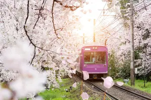 Tour image of Sagano Romantic Train & Arashiyama, Kiyomizudera, Fushimi Inari Taisha Day Tour